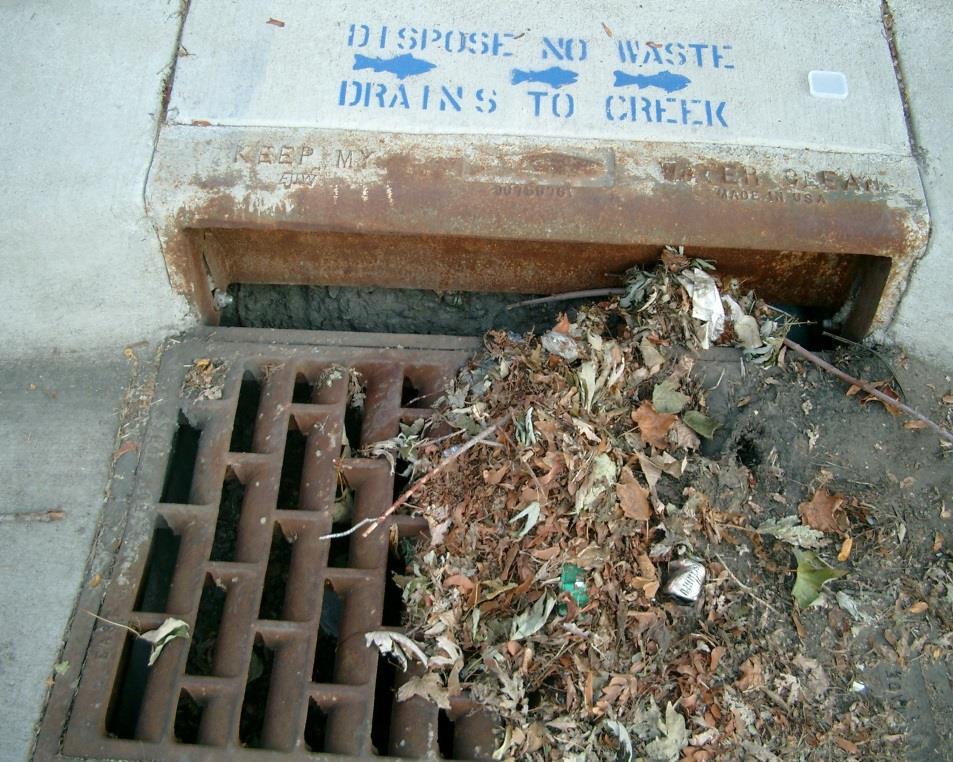 Preventing stormwater pollution Keep storm drains free of litter and debris Do not put grass clippings or leaves into storm drains Sweep up