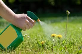problems) Certain lawn and garden chemicals (herbicides -