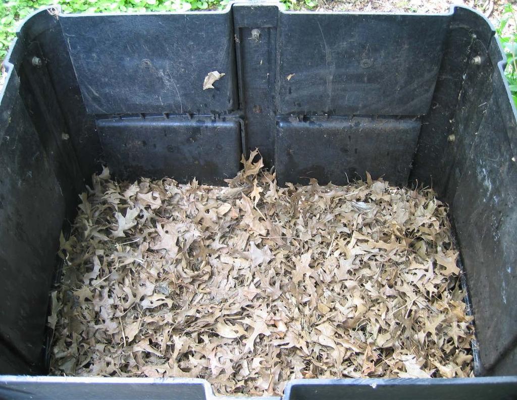 Tip: Cover food scraps with a layer of browns Prevents visits