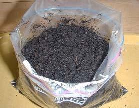 Bag test: sealing compost in a plastic bag for