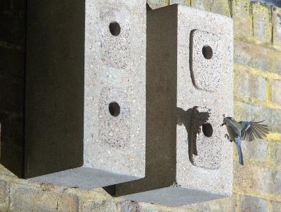 In 2010 Bankside Urban Forest undertook the Birds of Bankside project, involving putting up ready-made