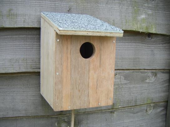 Making bird and bat boxes Constructing and putting up bird and bat boxes is a great way to create habitat for these species whose numbers