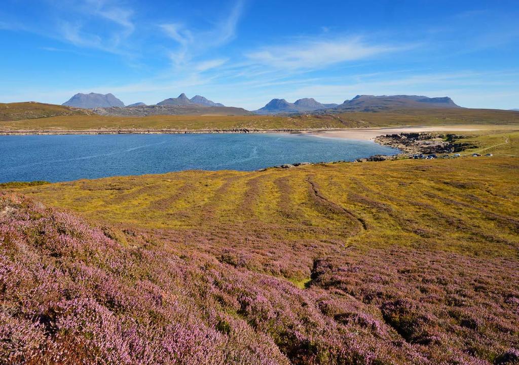 Our contribution to the National Outcomes for Scotland In Scotland we recognise that Scotland s rich and diverse natural environment is a national asset which contributes hugely to our economy and to