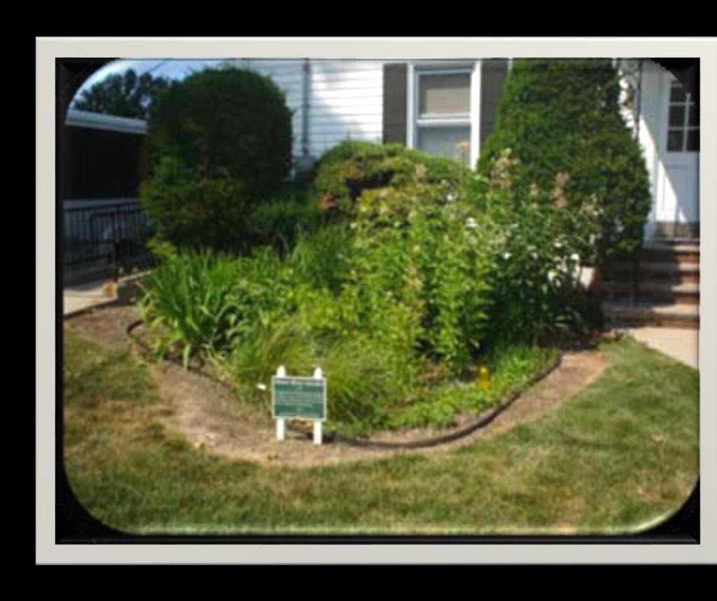 Rain Garden Benefits Effective at removing particulates and some nutrients from stormwater runoff.