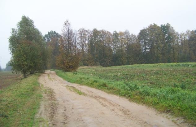 Fig. 6. The historical road bed to the rural homes retains its original width between the fields. Jaunsvirlauka Parish [Source: photo by author, 2013] Fig. 10.
