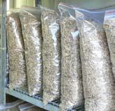 5 Temporarily store seed in porous materials such as paper bags, hessian or stockings.