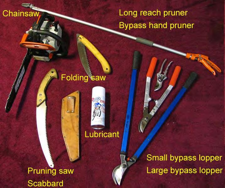 Pruning Tools Image