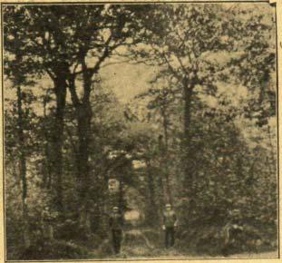 Nr. 24 (48) K A R D A S 377 Camp de la Courtine (Creuse dep.) lauko pratimuose. Iš kai r. į deš: l) vyr. lt. Kraunaitis; 2) anglų kap.