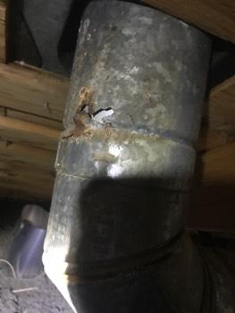 Furnace exhaust vent decayed recommend