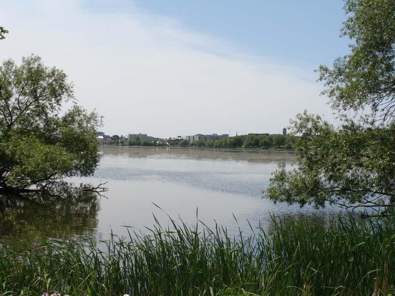 Figure 11: View south from Belle Park. Note the natural riverbank condition. EA Study Alternatives Status Quo There would be no impact on the existing landscape character.