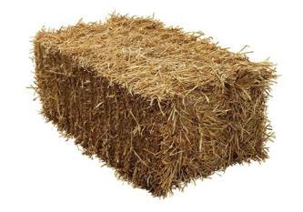 Straw in bales /