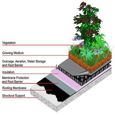 An eco-roof is a lightweight system of soil and vegetation designed to be as self-sustaining as possible.