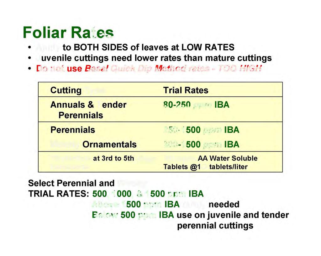 Foliar Rates Apply to BOTH SIDES of leaves at LOW RATES Juvenile cuttings need lower rates