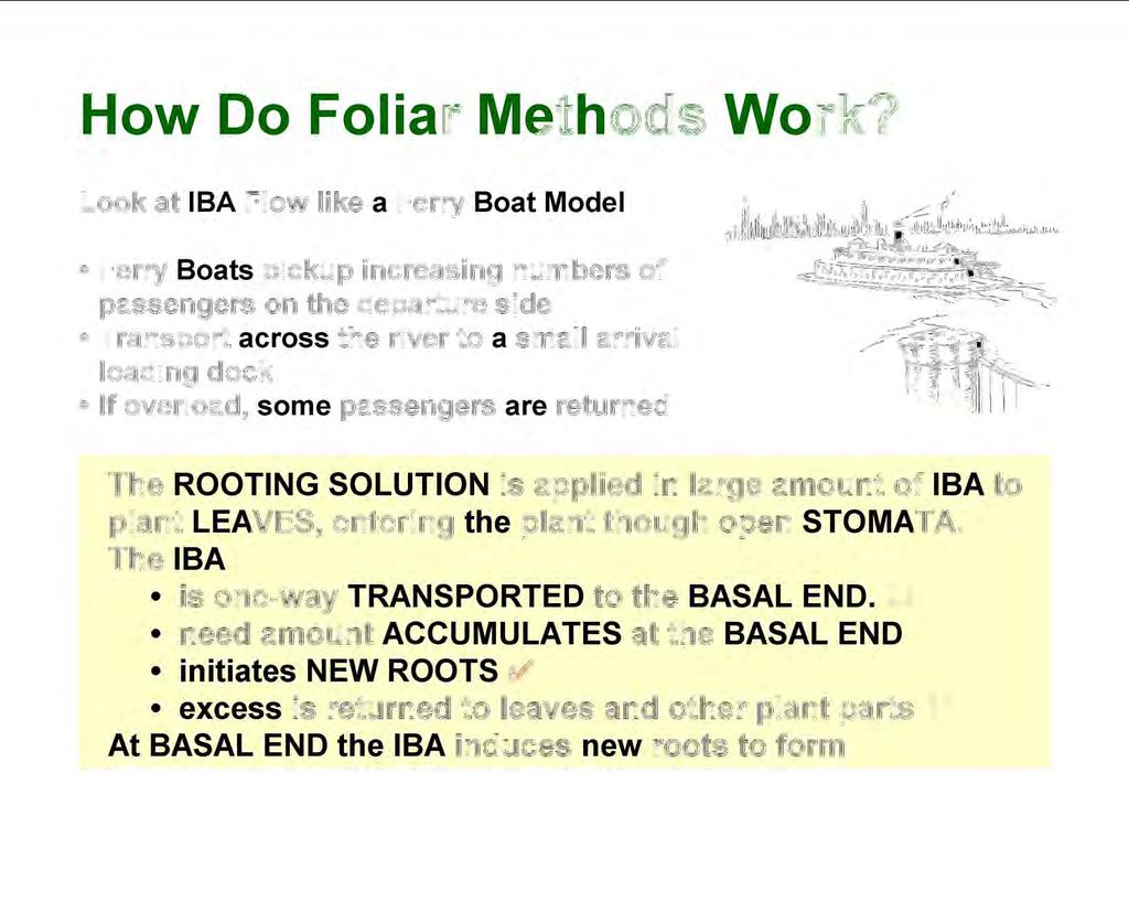 How Do Foliar Methods Work?
