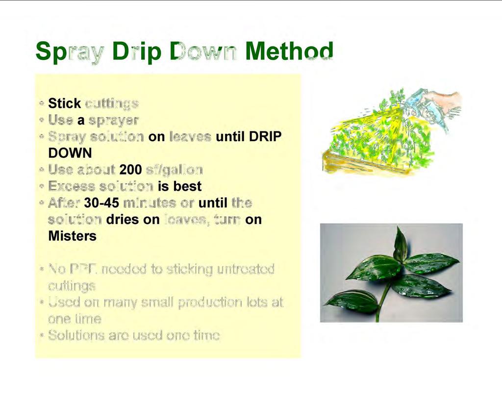Spray Drip Down Method Stick cuttings Use a sprayer
