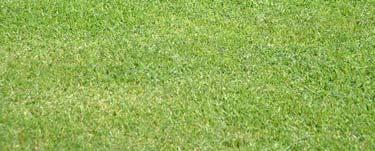 The most frequent operations associated with lawn or garden care are those of mowing and watering.