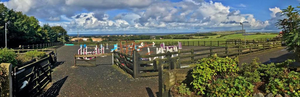 Excellent views from the paddocks down over the countryside and to Portstewart / Portrush.