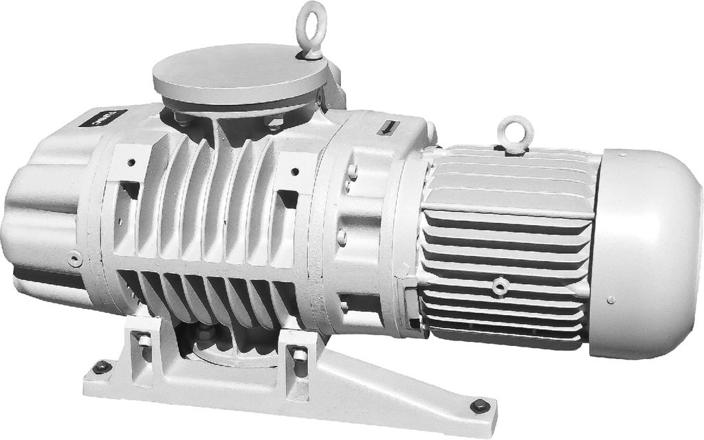 Oerlikon Leybold Pump Models Ruvac Standard Series Prepared for Hydrocarbon LVO-100 Oil and 3 phase 200-240/380-480 VAC 0hz.