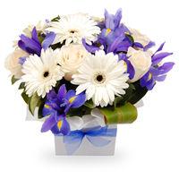 this arrangement consists of Irises, white Gerberas, Roses,