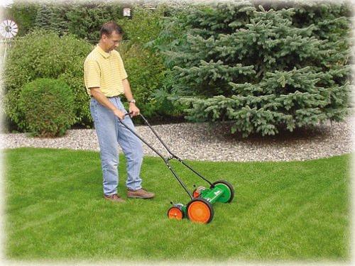 Reel Mowers for the Home Lawn Quiet Good quality of cut No engine maintenance Can stripe the lawn Can t mow much higher than 2 ½