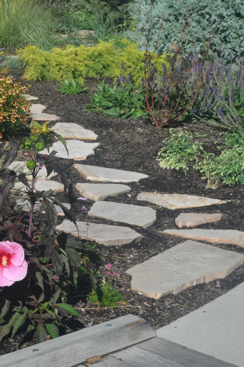 Weed control Maintenance Avoid compaction by creating paths or adding stepping stones