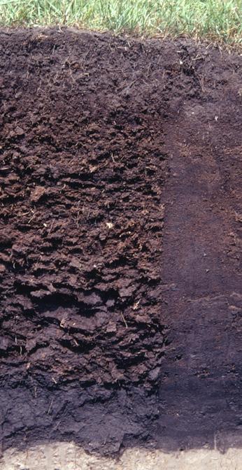 Organic Soils Organic Soils have more than 20% Organic Matter. They have high water retention and are frequently low in Potassium and Copper. They must be drained to be productive.