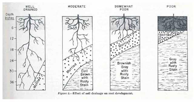 Soil Structure Soil structure refers to the grouping of particles of sand, silt, and clay into larger aggregates of various sizes and shapes.