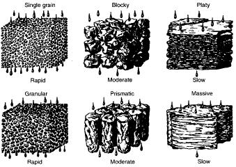 Soil Structure The processes of root penetration, wetting and drying cycles, freezing and thawing, animal activity and soil organic matter combined with inorganic and organic cementing agents produce