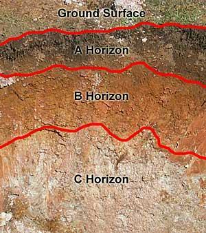 Soil Horizons A soil horizon is a specific layer in the soil which measures parallel to the soil surface and possesses physical characteristics which differ from the layers above and beneath.