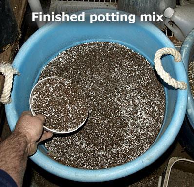 Mix cactus soil 50-50 with a potting soil that has rice hulls