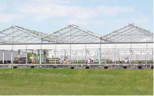 J&D Manufacturing is your commercial and hobby greenhouse supply specialist!