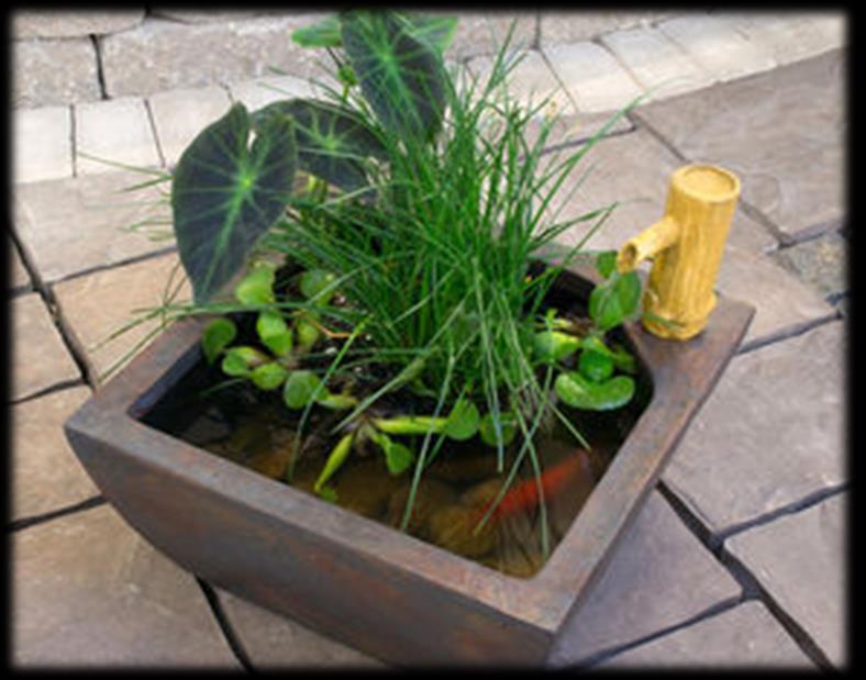 11 Patio Ponds The Mini $ 595 16 Square Textured Grey Slate Patio Pond with Aquatic Plants, Pouring