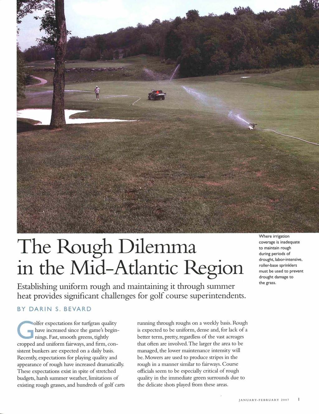 The Rough Dilenuna in the Mid-Atlantic Region Establishing uniform rough and maintaining it through sununer heat provides significant challenges for golf course superintendents.