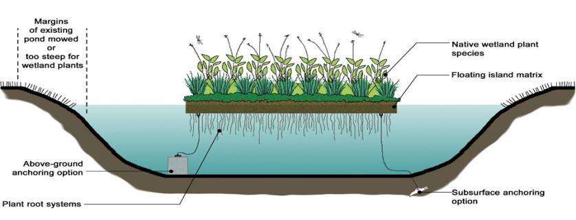 What is a Floating Wetland?