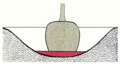 With this technique it is not practical to mix in soil amendments, as amendments must be thoroughly mixed thought the backfill soil. Figure 19.