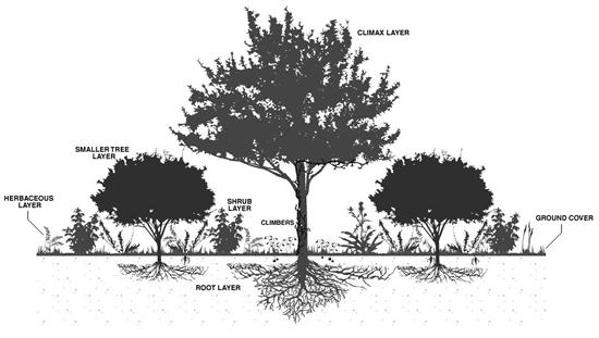 space. Planning and Design Xeriscaping When thinking about how to create an environmentally friendly and sustainable landscape, consider Xeriscaping.