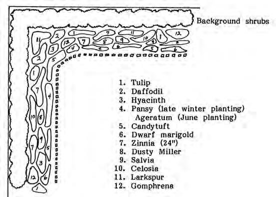 Figure 6.21. Example of a flower border. The most attractive flower borders are those located in front of a suitable background such as a fence, shrubbery or a building.