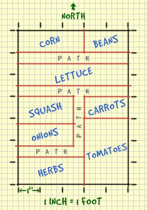 Crops and Garden Layout The first step in planning a garden is selecting which vegetables will be grown. With a few exceptions, plant what you like to eat.