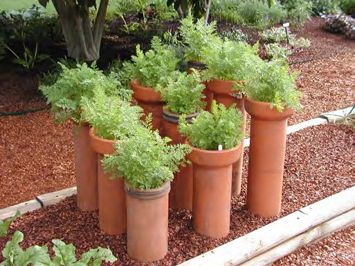Figure 4.5. Vegetables in containers on a patio space. tomatoes or a colorful herb mix (Figure 4.5). Planter boxes with trellised pea vines can create a cool, shady place on an apartment balcony.
