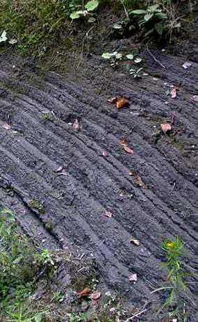 Soil Forming Factors Classification of Parent Materials Formed in place from rock Residual Transported Colluvial by