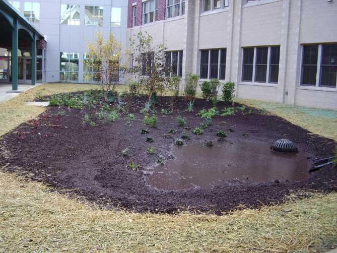 SYSTEM MAINTENANCE Trim plantings Mow grasses Rehabilitation & Restoration (sediment)