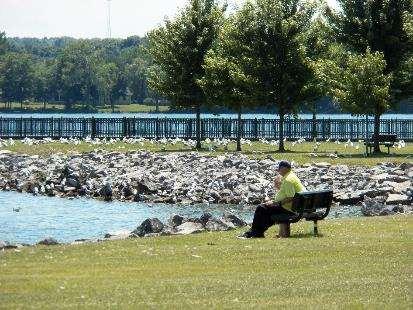 Options for Park Users Expand Shade Trees in Park