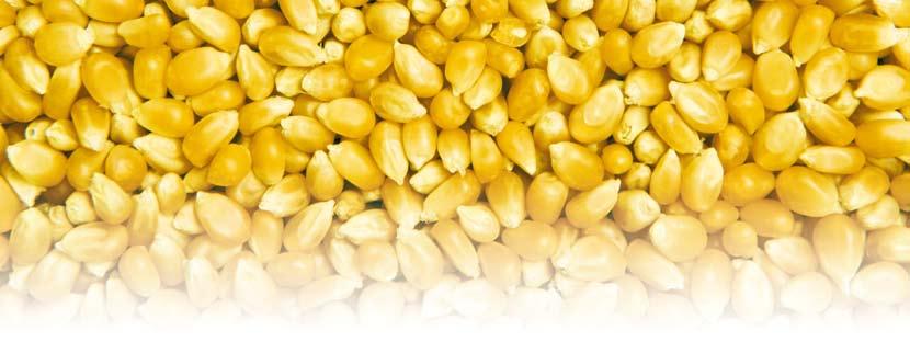 Eco Dry Technical data Eco Dry characteristics for maize Eco Dry characteristics for wheat, rapeseed, barley and sunflower seeds Basic model Δ F 20 % (F 35 %; F 2 5 %) Dwell time 4.