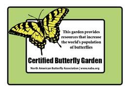 org/bring back the monarchs/campaign Monarch Joint Venture: monarchjointventure.org North American Butterfly Association: naba.org Want to get more involved?