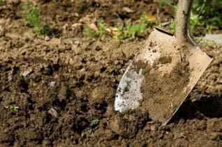 air, water and nutrients Want these to extend deep into the soil profile ideally: