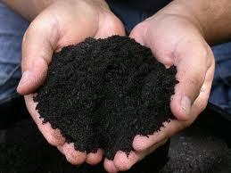 !! Soil Particles Sand Feels gritty, largest particle size Cannot hold nutrients
