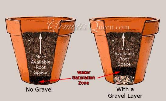 gravel to containers does not increase drainage! Make Your Bed!