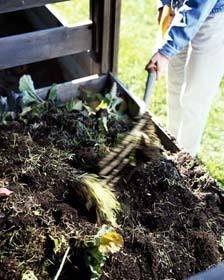 soil conditioner ü Rotted leaves (leaf mold) pile them up