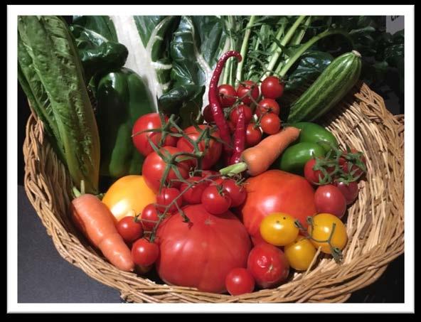 HARVEST SHOW Tuesday, October 2, 2018 SECTION C: FRUITS & VEGETABLES 30. Pears, one kind 3 31. Fruit, one kind 3 32. Beets, tops trimmed to 1 (2.5cm) 3 33. Carrots, tops trimmed to 1 (2.5cm) 3 34.