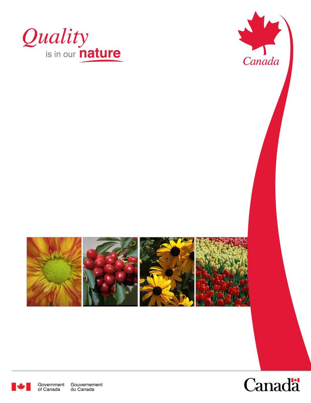 Statistical Overview of the Canadian Ornamental Industry 2013 Prepared by Market Analysis and